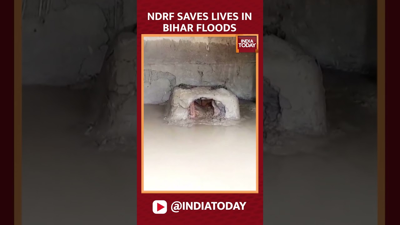Bihar Floods: NDRF Rescues Thousands, Embankment Breaches Reported Amid Critical Situation