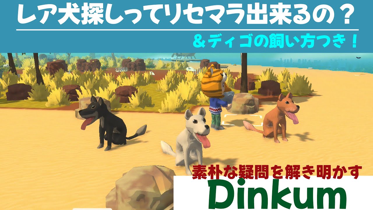 【ディンカム】レア犬探しってリセットマラソン出来るの？＆ディゴの飼い方つき！素朴な疑問を解き明かすDinkum