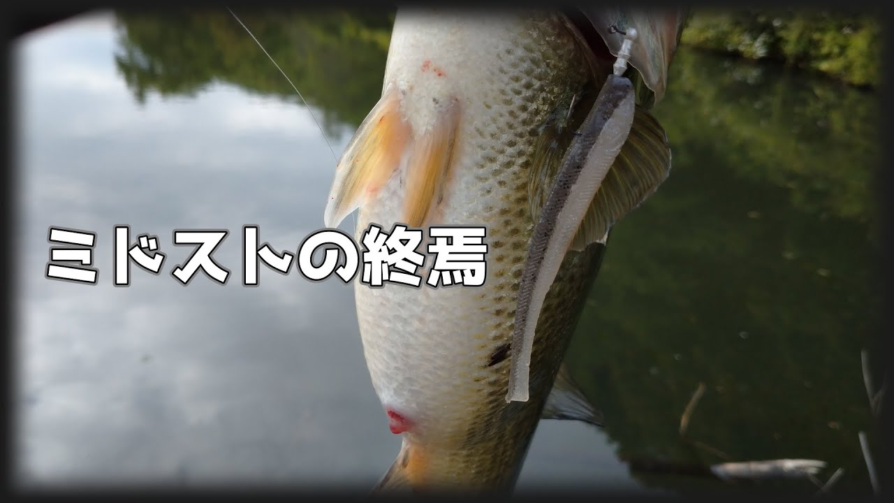 【ミドスト】難攻不落の9人家族【ドロップショットミノー】
