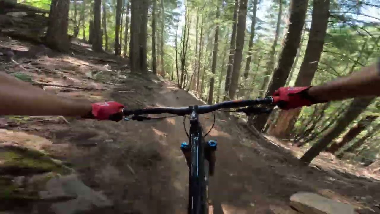 The end of butcher trail,downieville,CA.