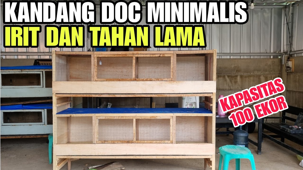 KANDANG DOC / ANAK AYAM MINIMALIS💯