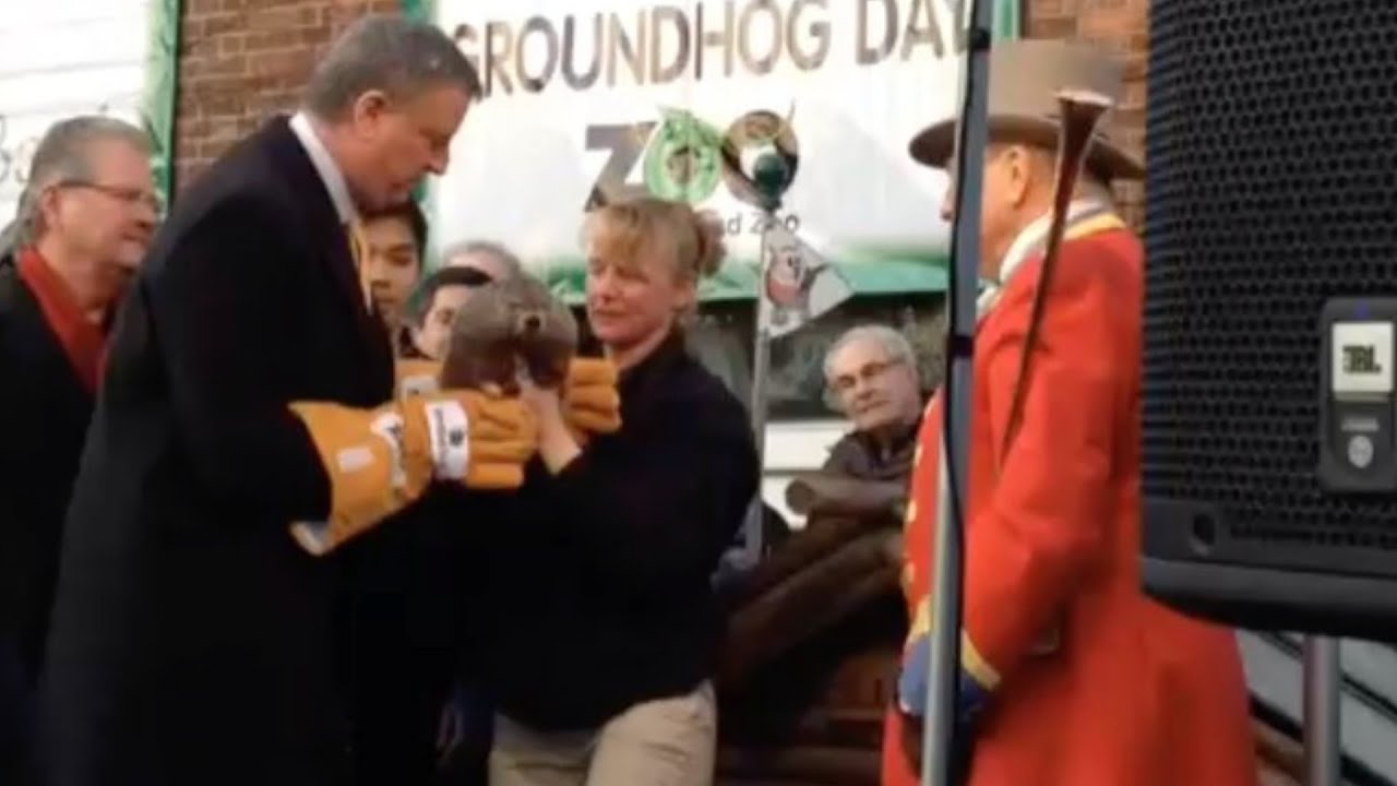Groundhog Dropped By Mayor Later Dies