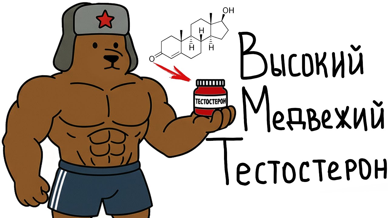 Как Натурально Повысить Уровень Тестостерона? Пробуди Свой Медвежий Тестостерон!