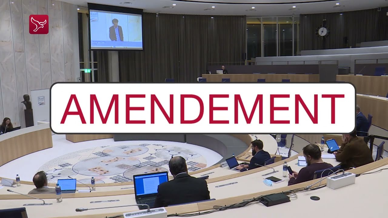 Verkiezingen: wat is het verschil tussen een motie en amendement?
