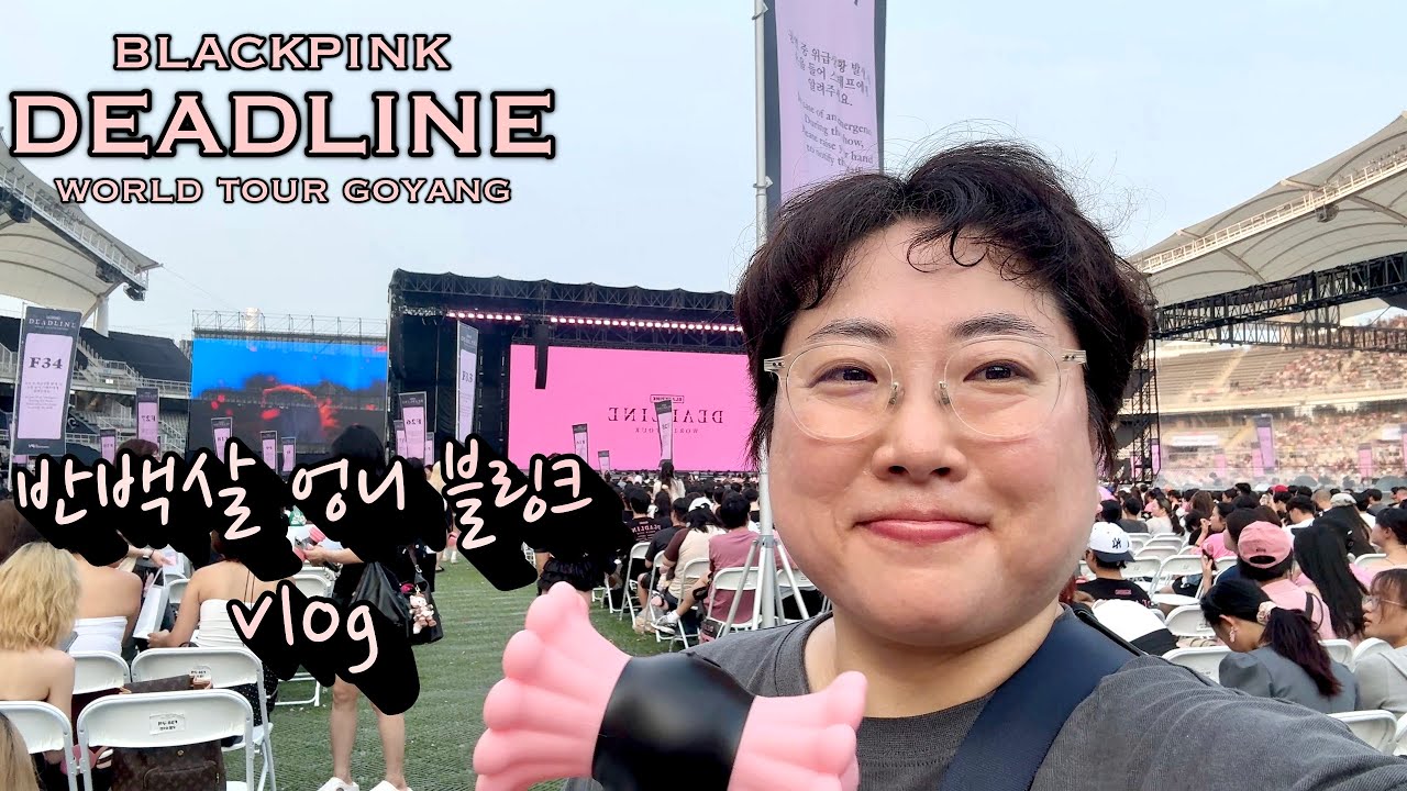 (eng sub) ✨ 반백살 엉니 블링크의 블랙핑크 월드투어 DEADLINE 고양 2일 Vlog (Feat. 50s BLINK)