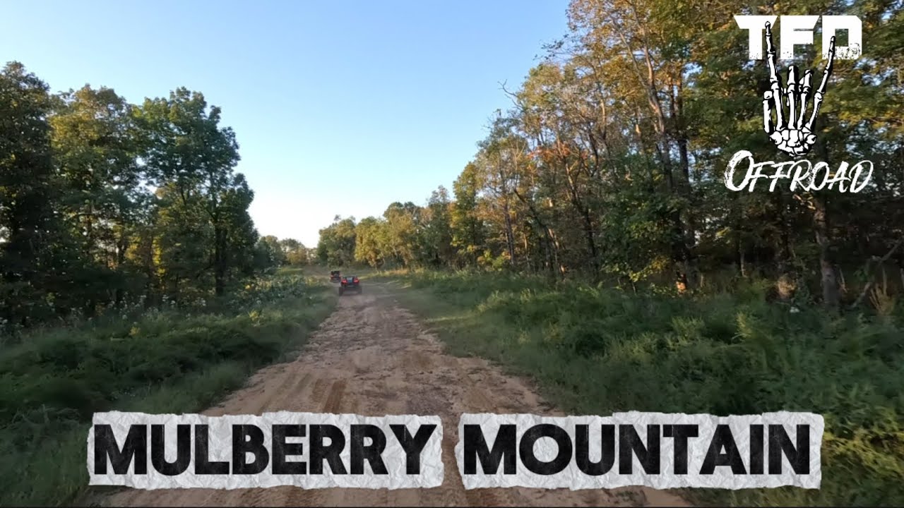 Mulberry Mountain - September 2025