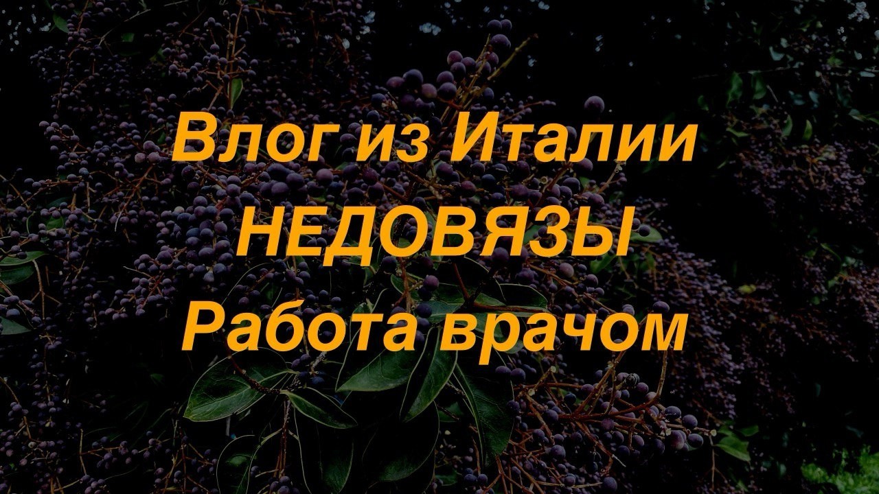 Жизнь в Италии. Влог из Европы. Конный Спорт и Очень Много Работы. Рождество в Европе. Ярмарки.