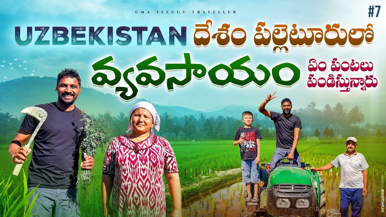 Farming Life In Uzbekistan 🇺🇿 | Village Life | Uma Telugu Traveller