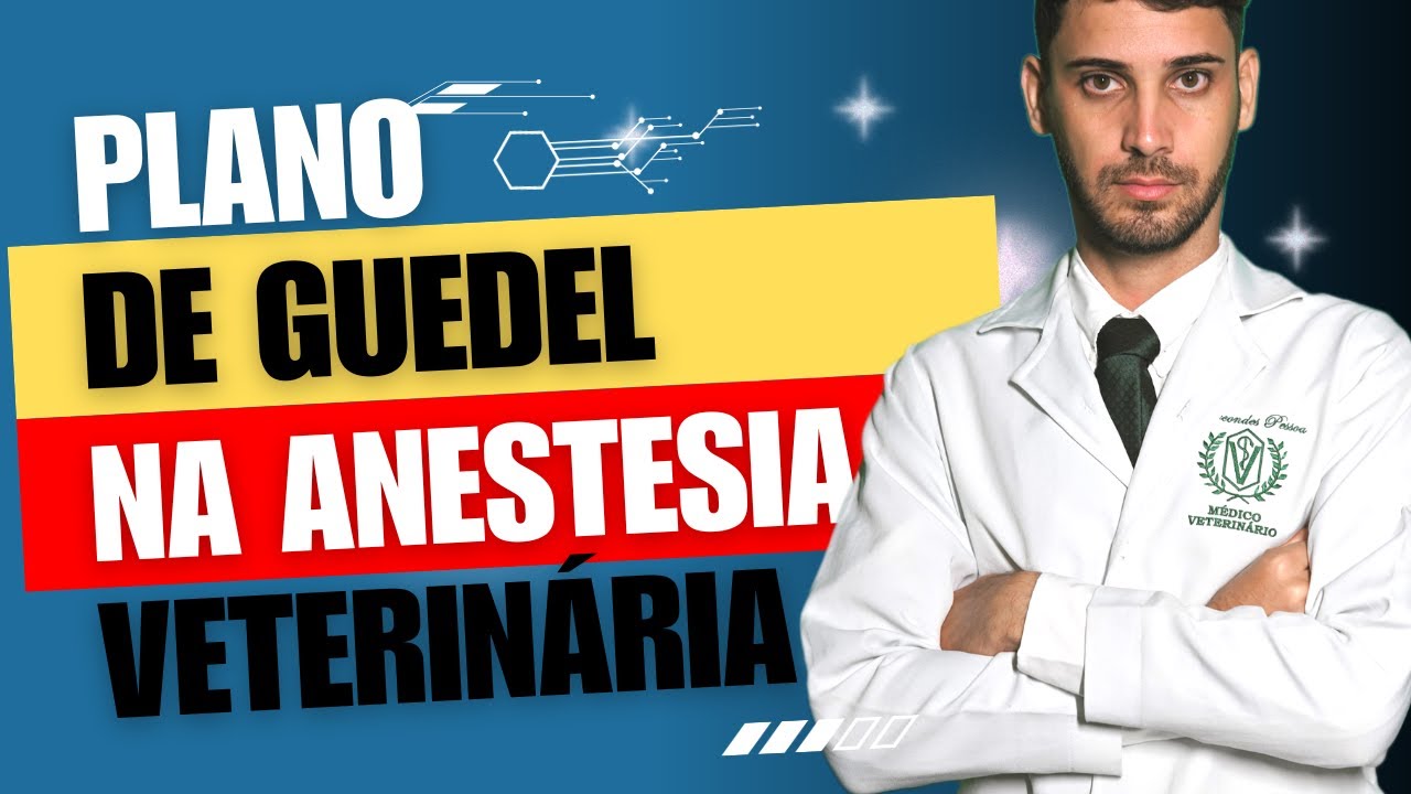 Desvendando o Plano de Guedel na Anestesia Veterinária: Guia Completo e Prático!