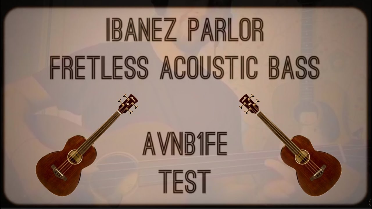 Ibanez parlor fretless acoustic bass - AVNB1FE