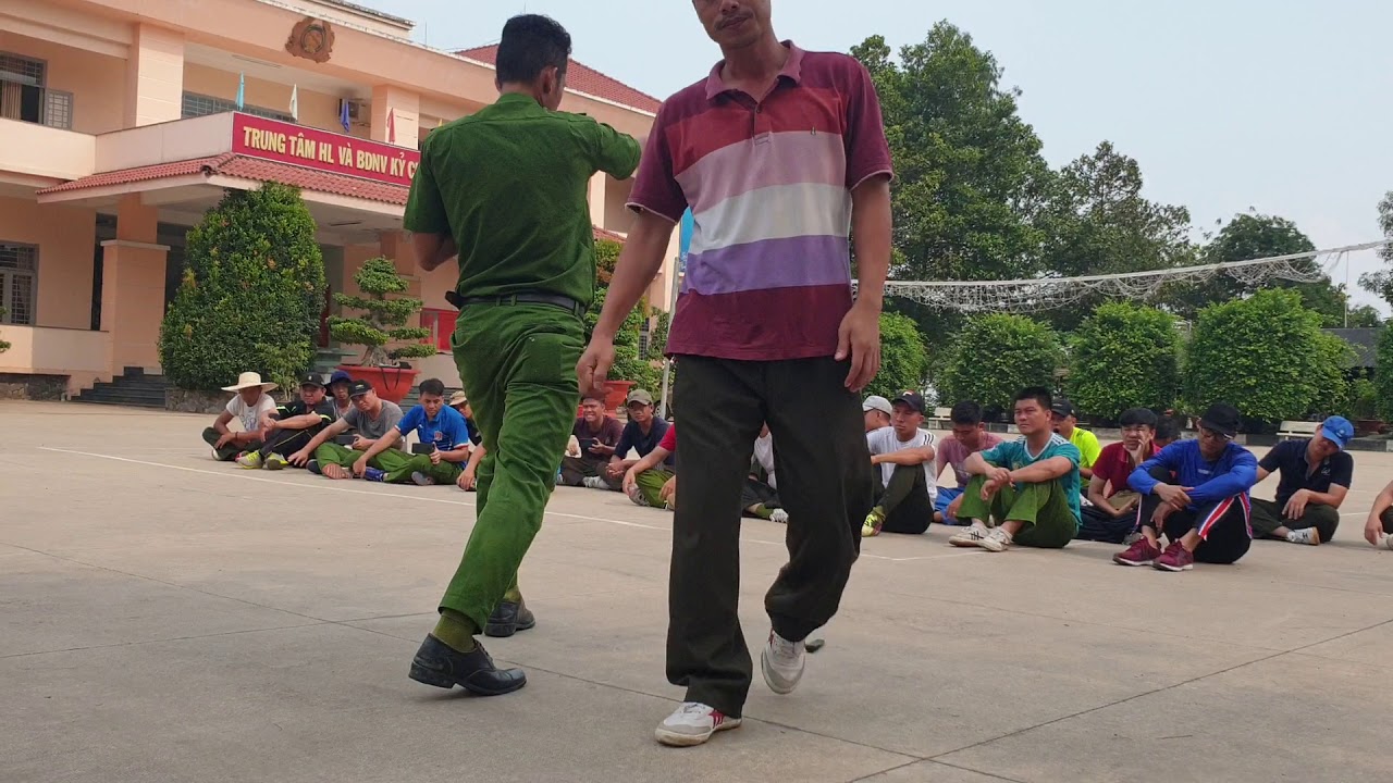 phan tich quyen 44 dong tac