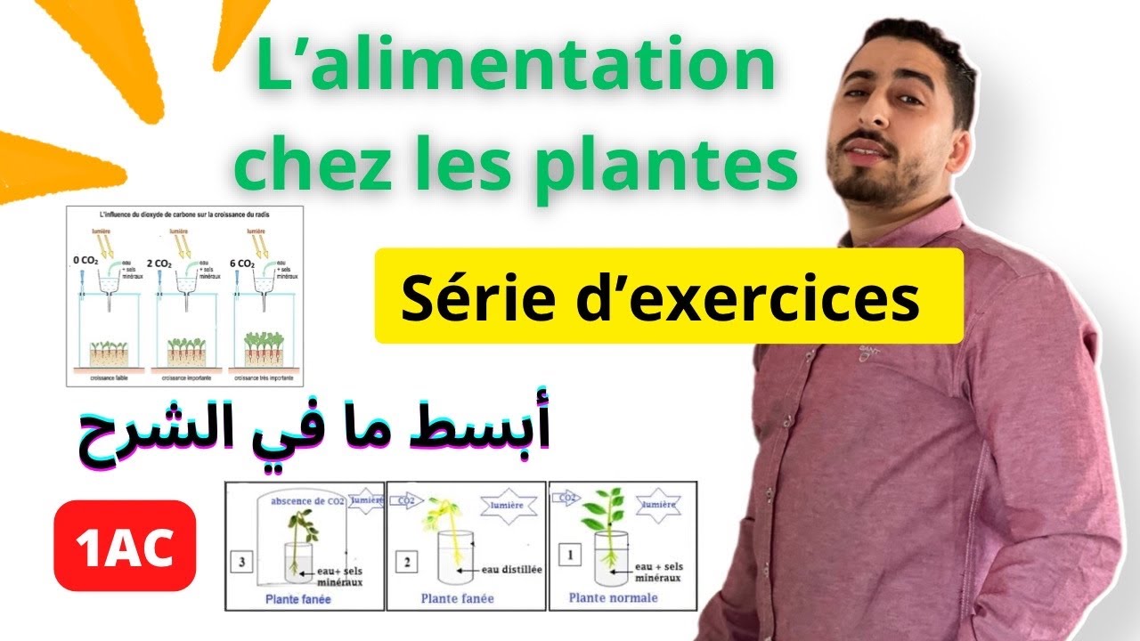 1AC : L'alimentation chez les plantes | Exercices 🔥 شرح بسيط  🔥
