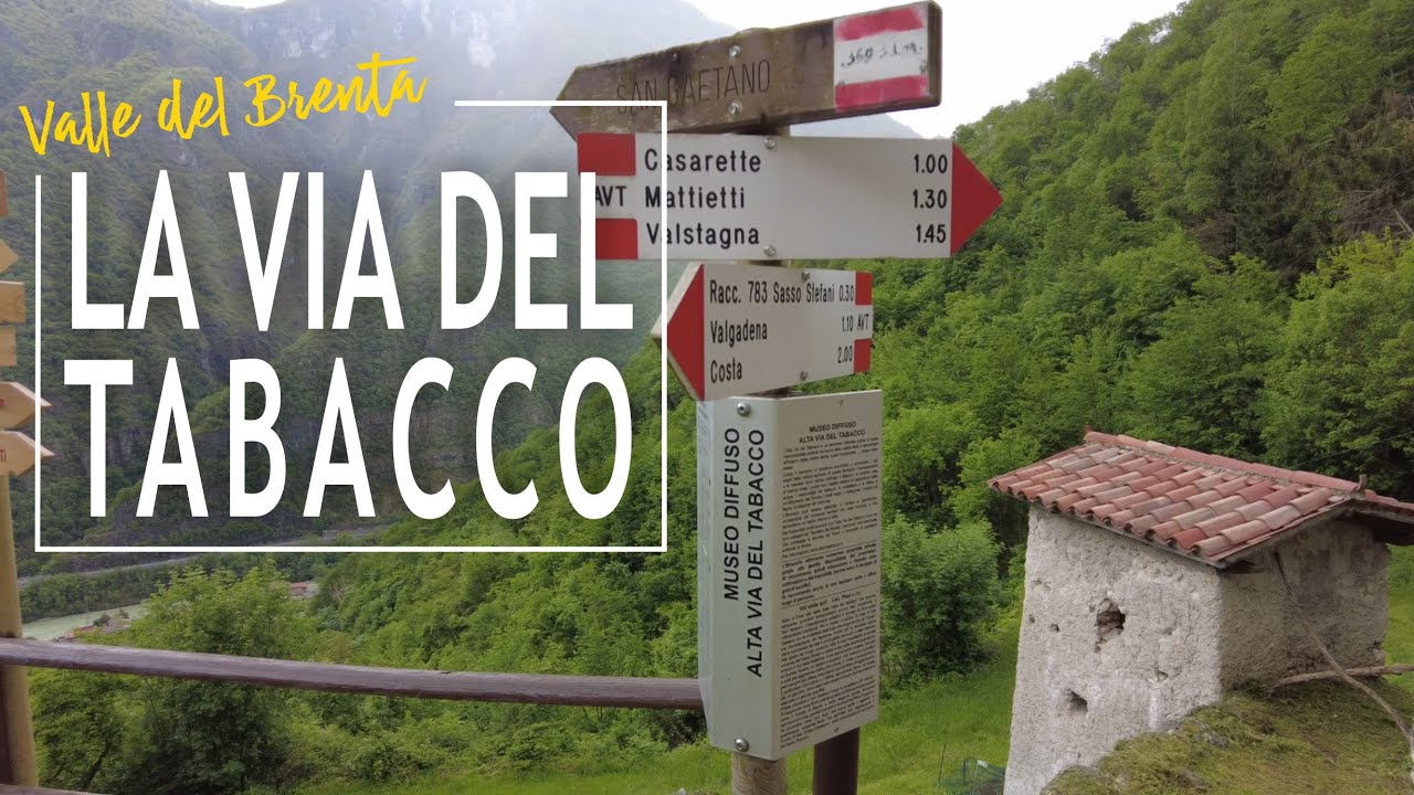 LA VALBRENTA E IL TABACCO - storie e leggende di una coltivazione eroica.