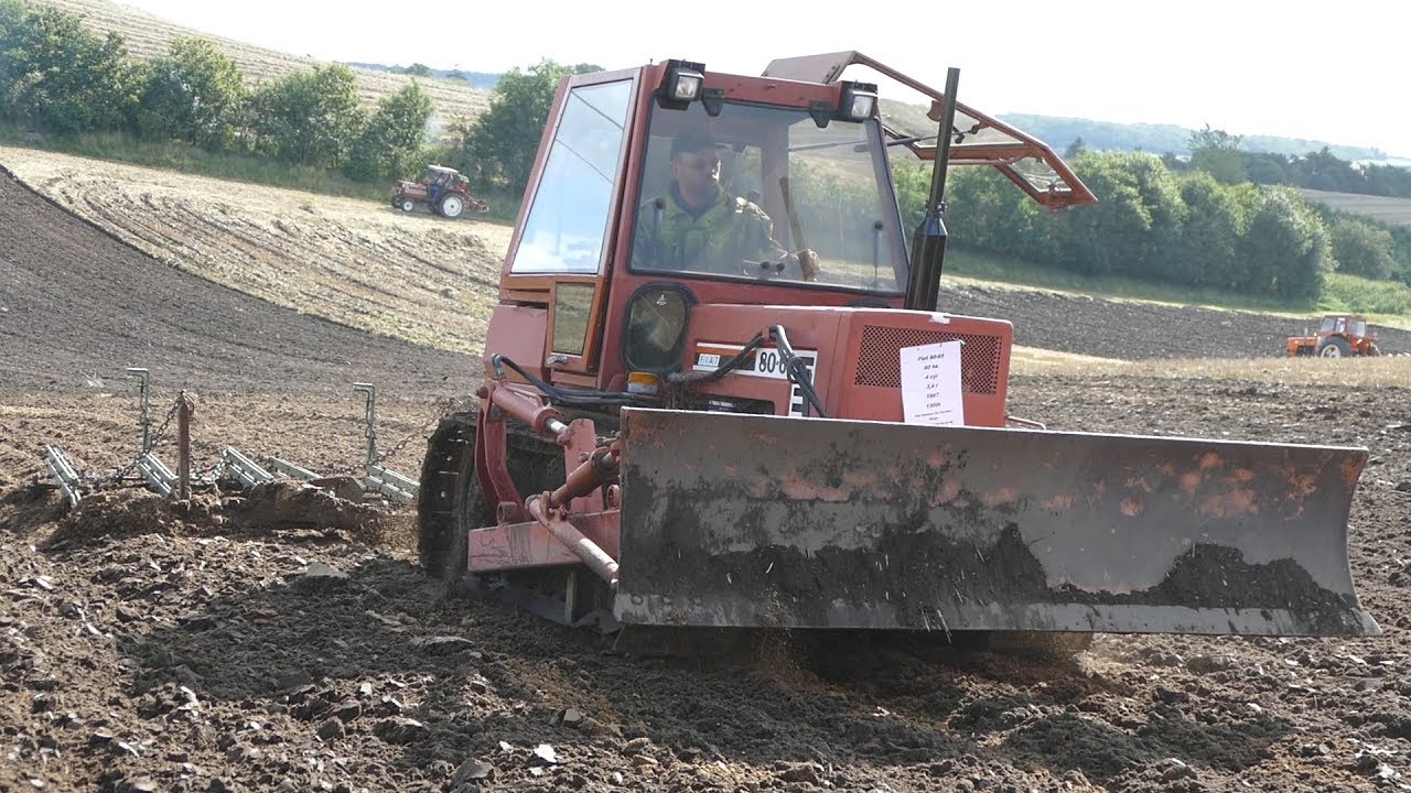 Fiat 80-65 Cultivating The Field at Fiat Day 2017 | Special Tractor | Danish Agriculture