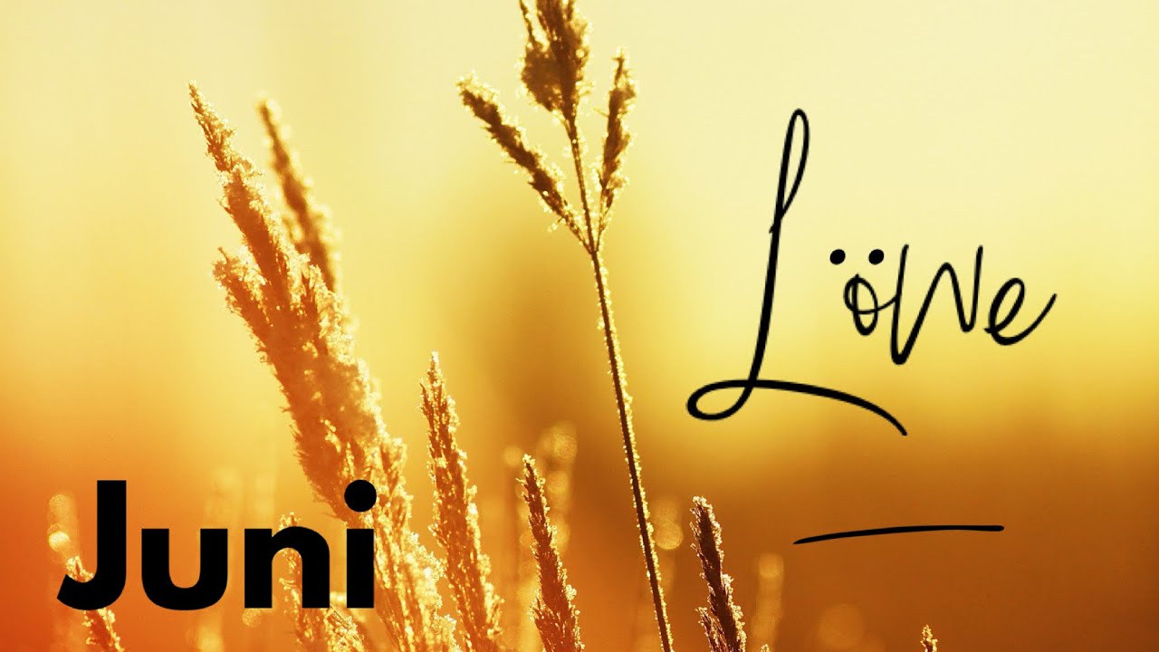 Löwe ♌️ Befreie dich! Es ist Zeit, dich aus festgefahrenen Strukturen zu lösen. Stell dich der Angst