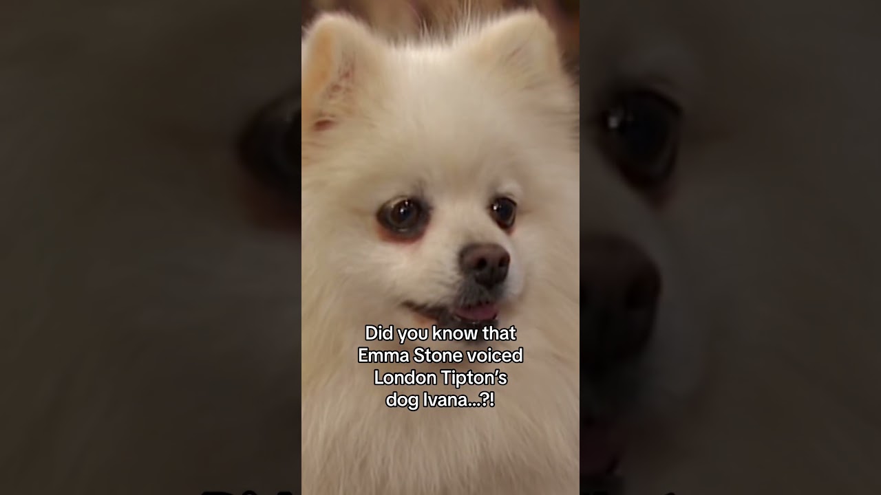 Emma Stone: A-lister, and&hellip; the voice of London Tipton&rsquo;s pomeranian?! 🐶 @DisneyClubUK