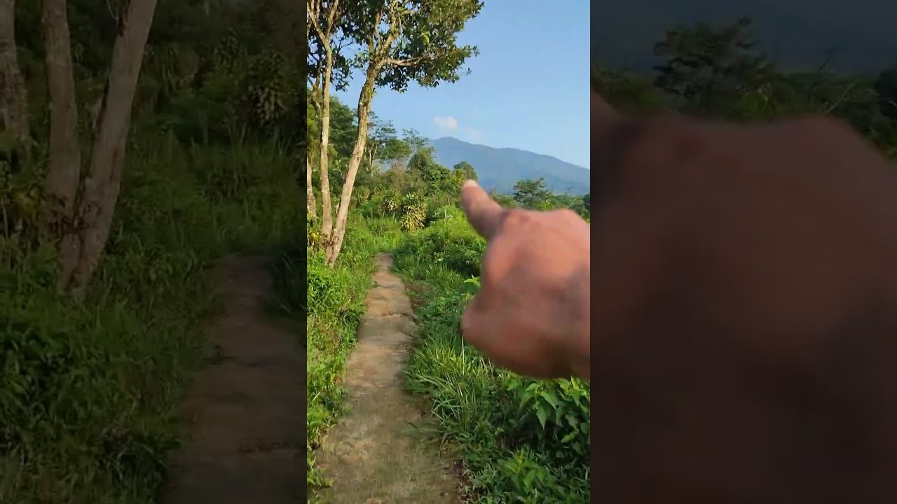 Trip to the top of Mount Salak one #short #shorts #views #view #mountain #holiday #trip #vacation