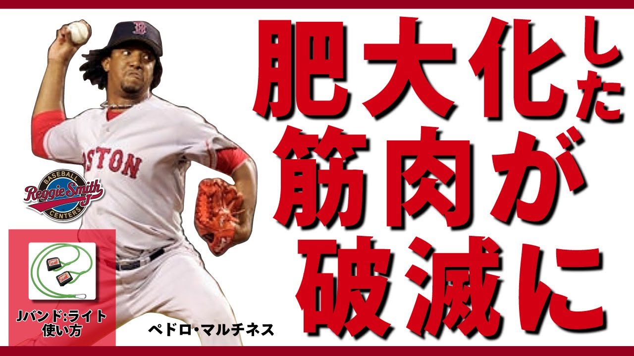 「肥大化した筋肉と悪い投げ方が肘を破壊する」by ペドロ・マルティネスによる解析 レジースミスベースボール：ジャパン