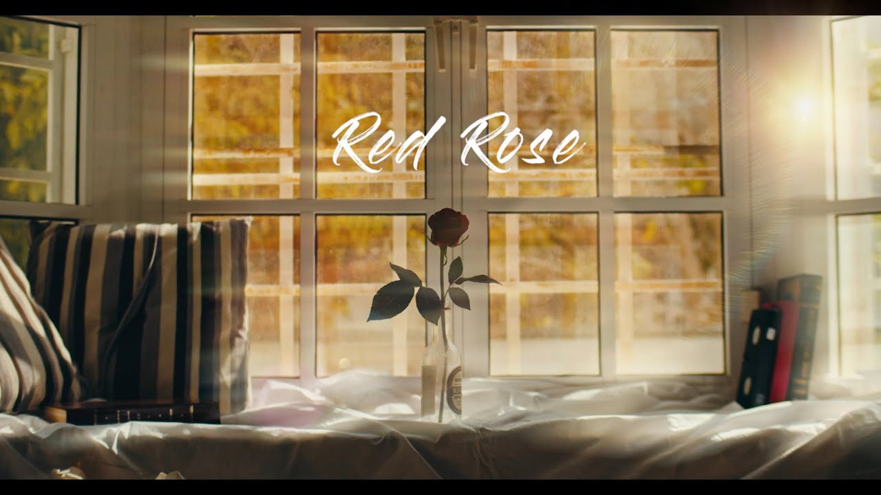RED ROSE 🌹  |  رد روز