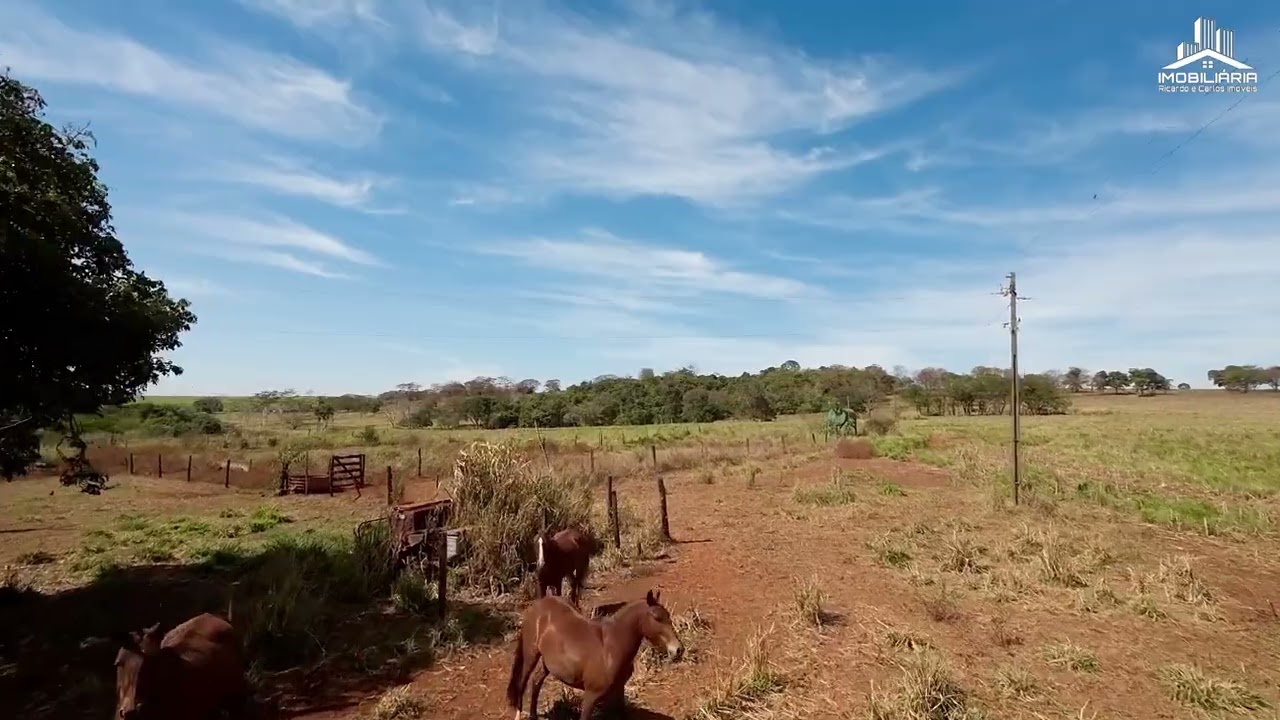 Sítio SÃO JOSÉ à venda em Santa Helena de Goiás #sitioavenda #santahelena #oportunidadedenegócio