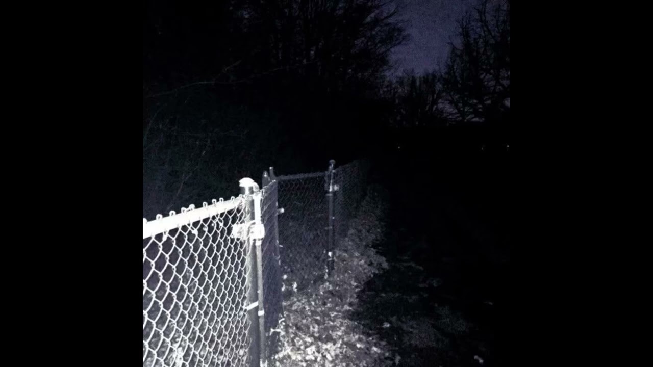 crystal castles witch house calm type beat (@wannawoods) 