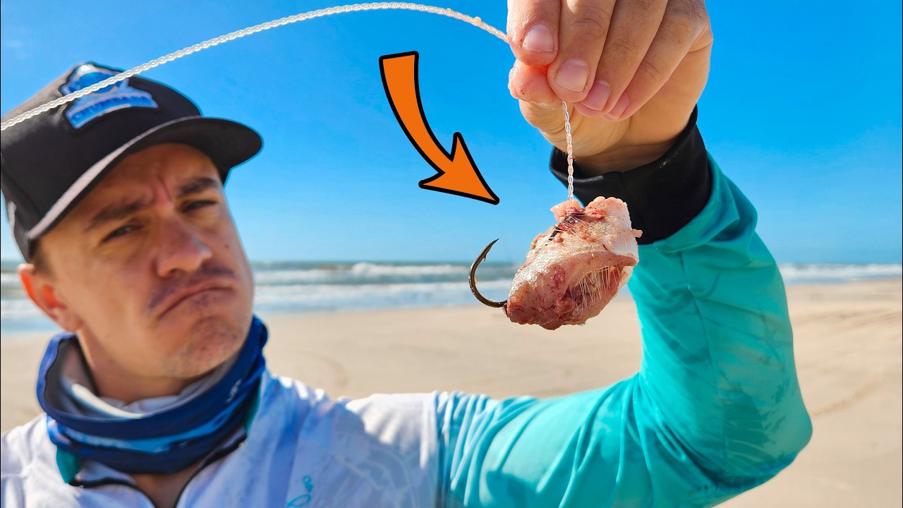 Usando POSTAS DE PAPA-TERRA DE ISCA para PESCAR PEIXE GRANDE na PRAIA