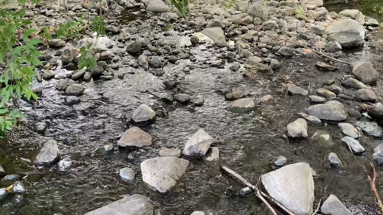 Creek at Umtanum