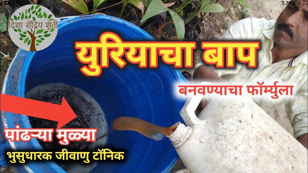 युरियाचा बाप,पांढरी मुळी,जबरदस्त भुसुधारक,जिवाणू वर्धक टॉनिक,थंडीत पिकाची वाढ करण्यासाठी एकमेव💪💪