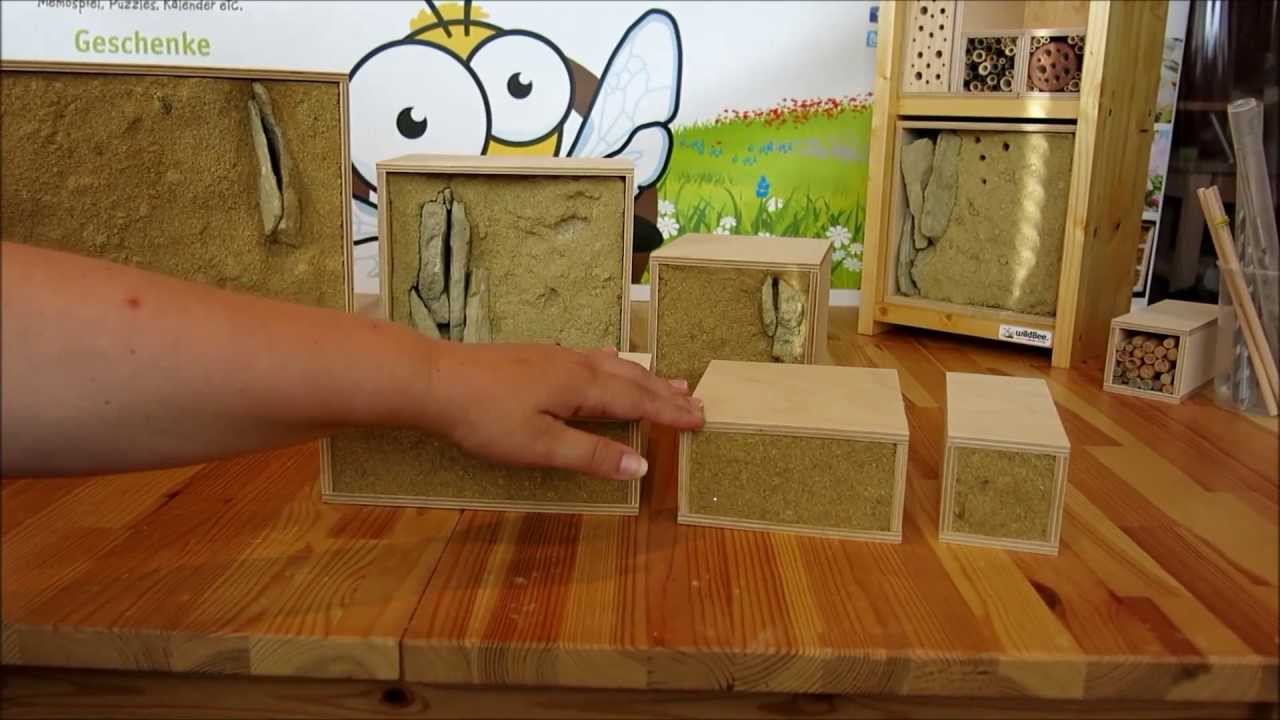 Sand-Steilwände als Nistplatz für Wildbienen