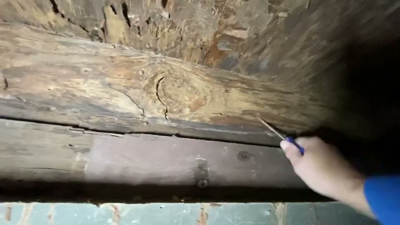 What happens when UNDETECTED TERMITES destroy your foundation?