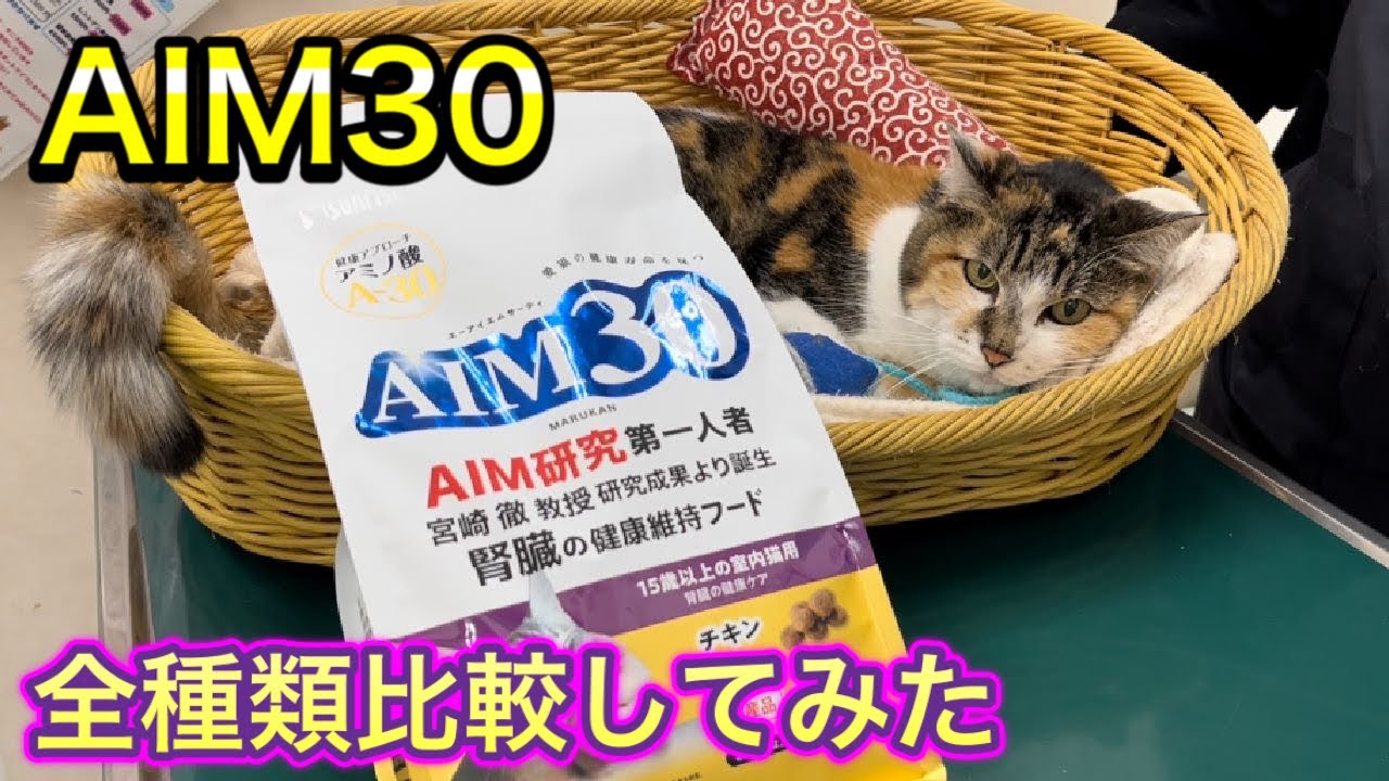 【AIM30】全商品比較！猫の腎不全、健康維持フードを猫に試してみました。