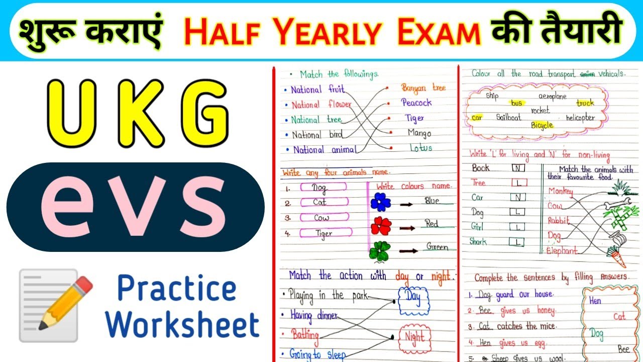  🟢 UKG EVS | UKG EVS Worksheet | EVS Worksheet for UKG | Senior kg