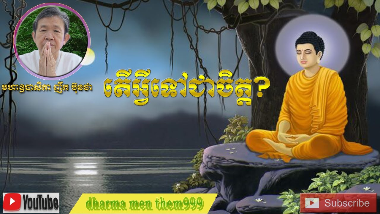 What is the mind / Nhek Buntha / ញឹក ប៊ុនថា #Dharma mem them999