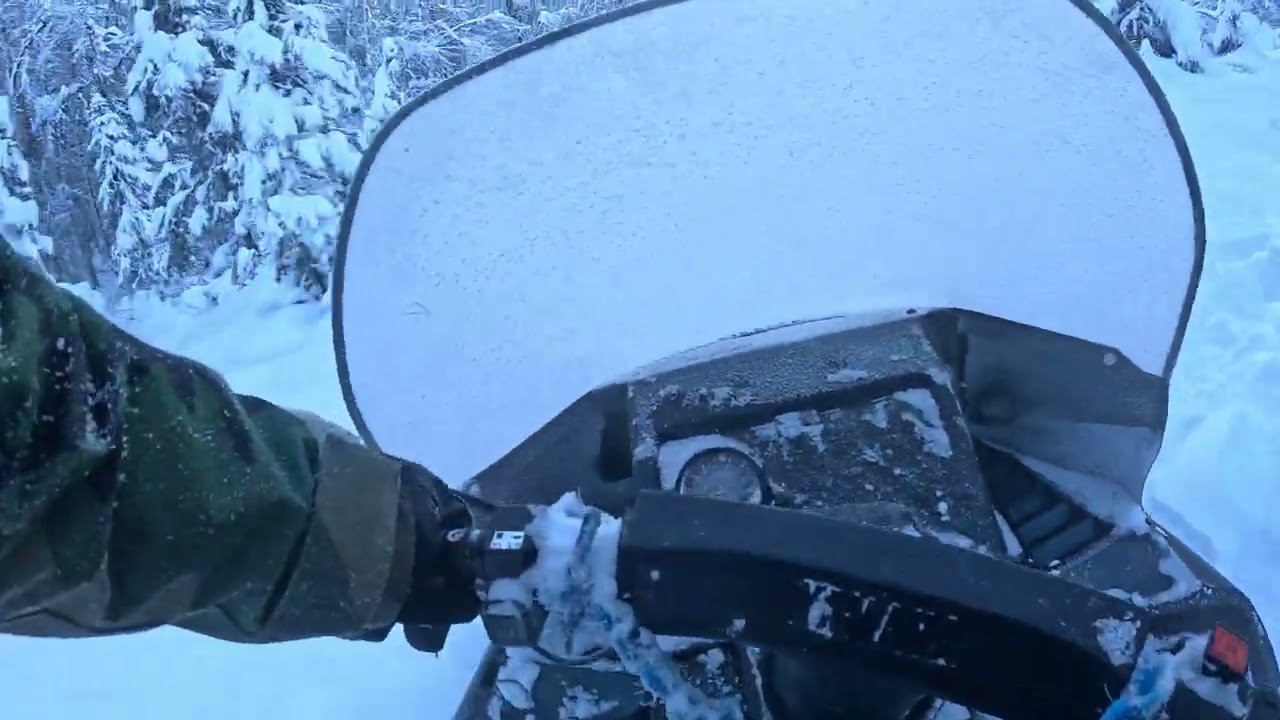 Ride home from my first trapline check of 2026. Pt.1