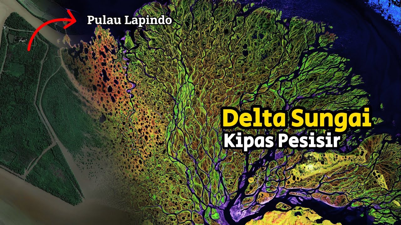 Delta Sungai - Daratan yang Membentuk Kipas di Wilayah Pesisir | Episode-26 | #CeritaBumi