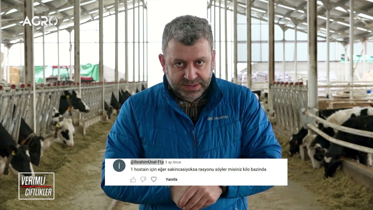 Holstein Rasyon Tarifi! 32 Litre S&uuml;t 550 Kilo Canlı Ağırlık Davut Karaman - Soru Cevap