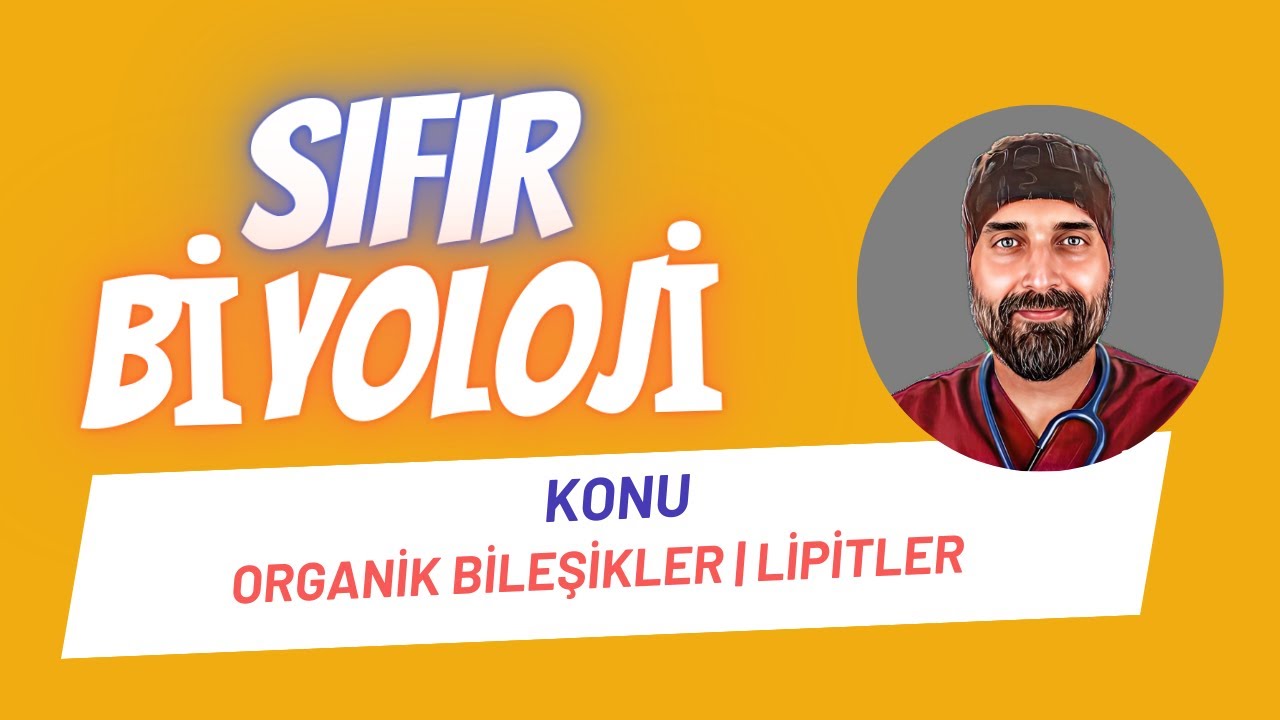 Lipitler - Yağlar Sıfır Biyoloji | Dr. Biyoloji