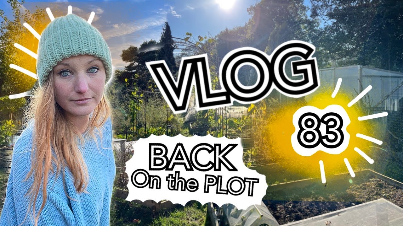 Back on the Plot: Harvesting the Squash and planting up the Polytunnels || Plot 37 (Episode 83)