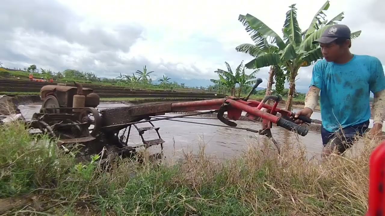 Traktor sawah , ganti joki langsung gercep meratakan tanah 