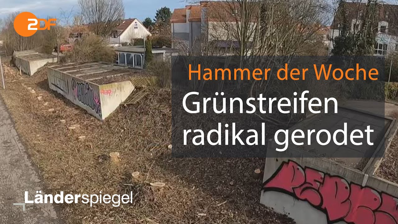 Landesbetrieb holzt Straßenbäume weg | Hammer der Woche vom 20.02.21 | ZDF