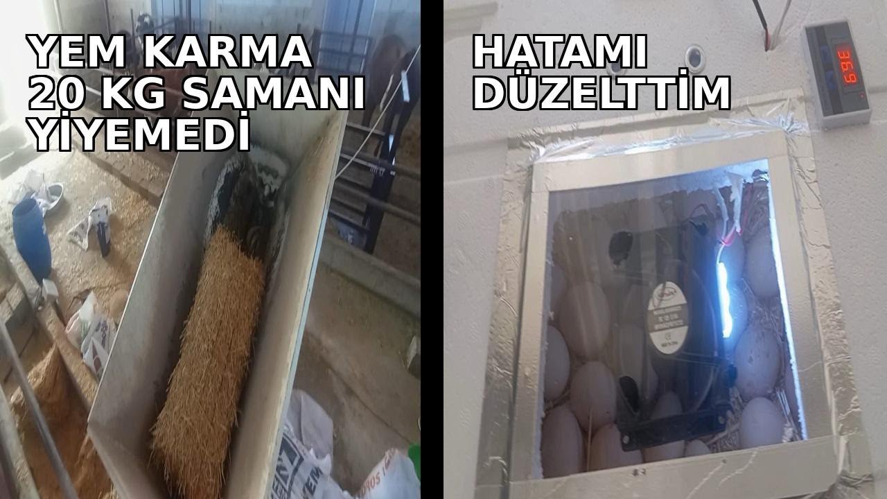 KULUÇKA MAKİNESİNDEKİ HATAYI DÜZELTTİM