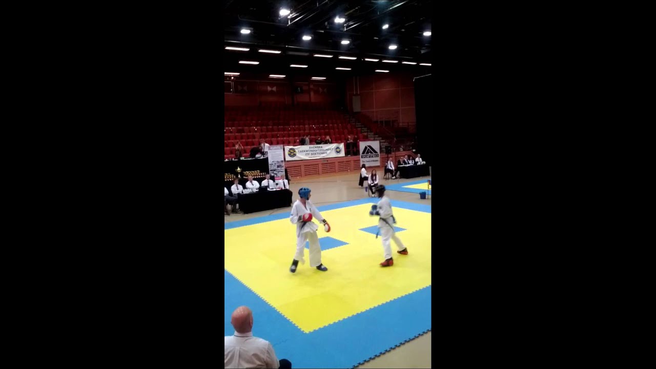 Robert Dinic Taekwondo fight