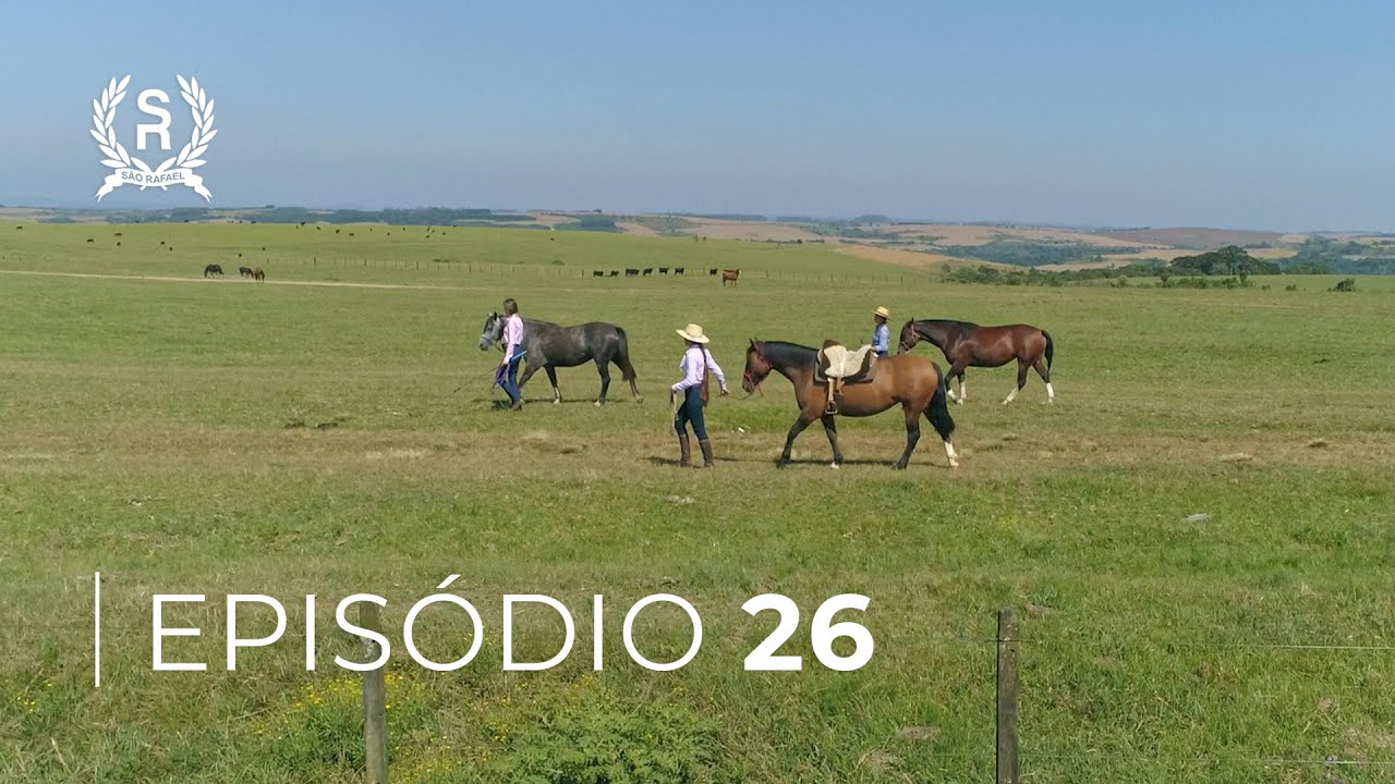 As Domadoras - Conexão Com o Cavalo | EPISÓDIO 26