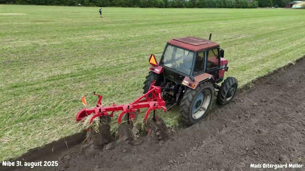 Efterårspløjning arrangeret af Nibeegnens Veterantraktorlaug 31. august 2025