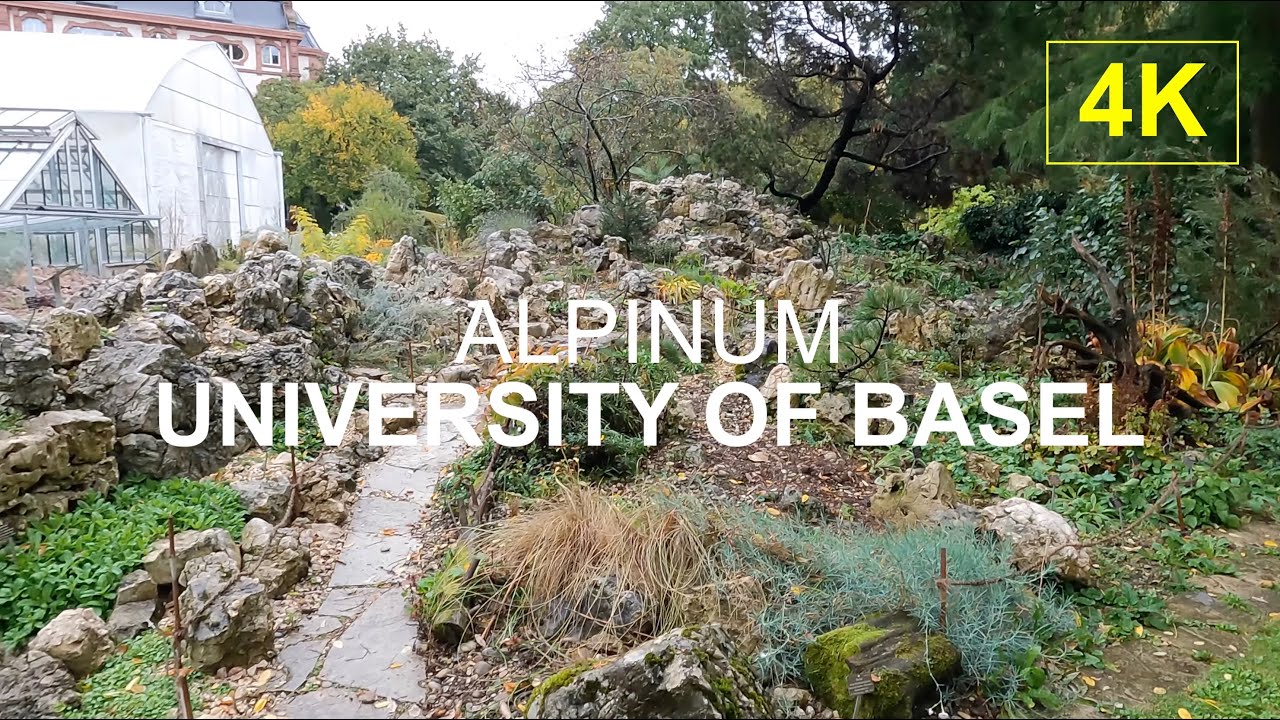 BASEL, SWITZERLAND | University Botanical Garden, Alpinum l 4K Walk
