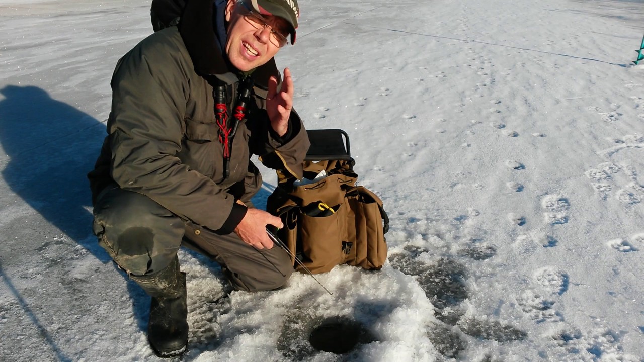 Zander icefishing with Daiwa softplastics