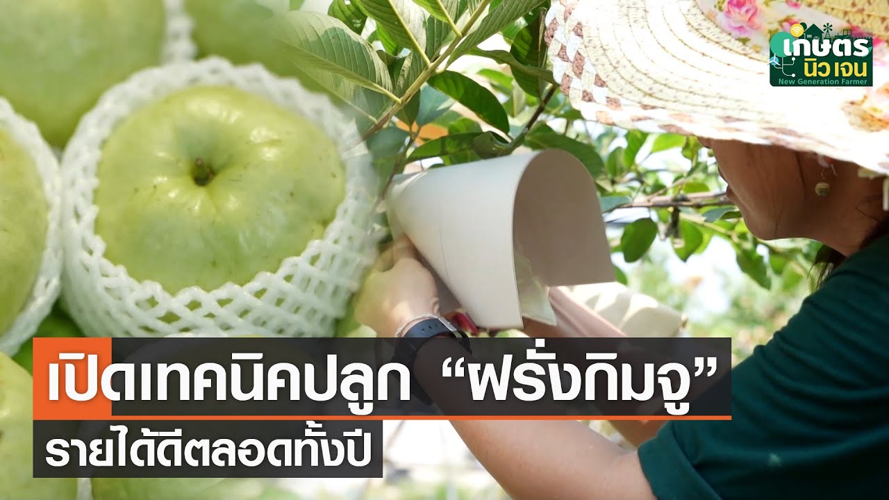 เปิดเทคนิคปลูก 