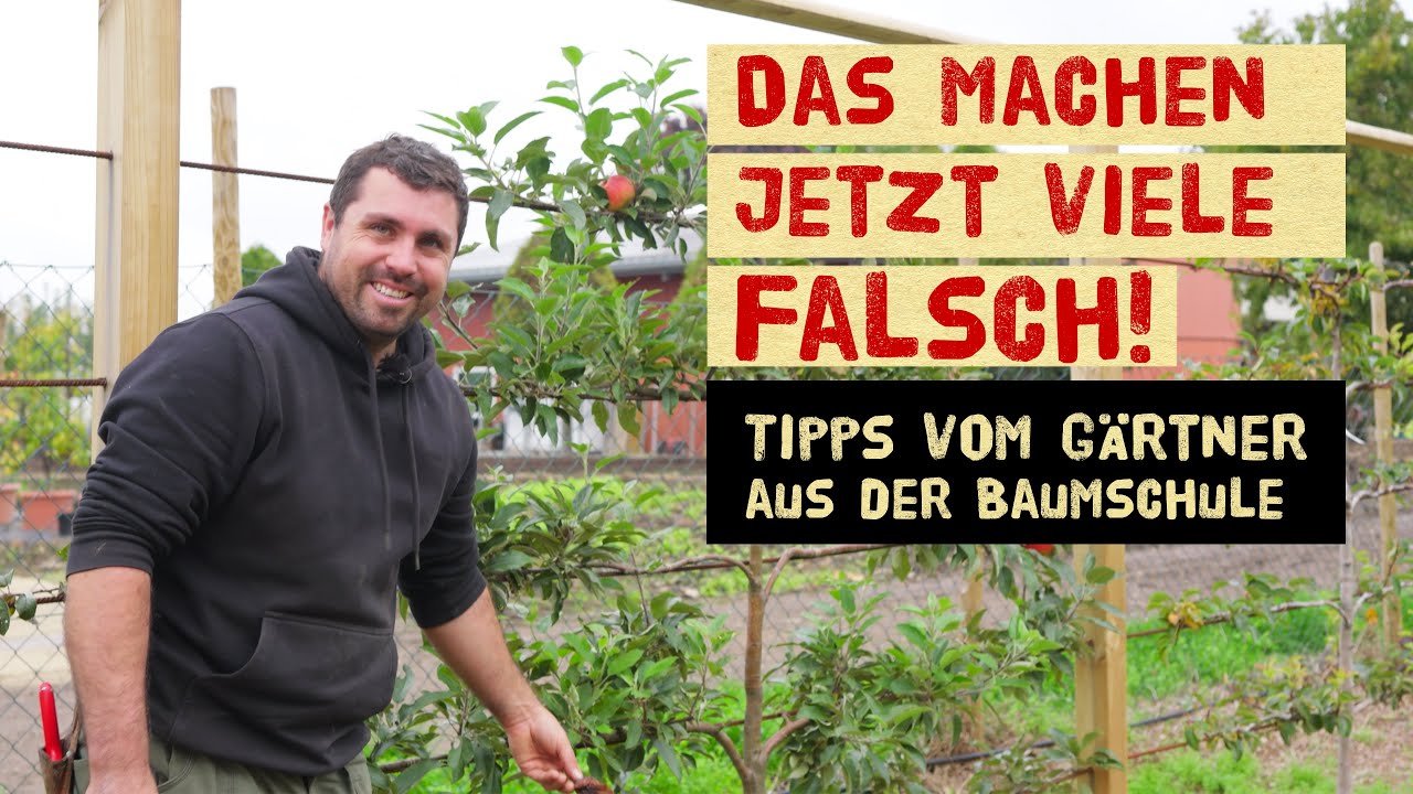 Obstb&auml;ume im Herbst &ndash; pflanzen, pflegen & sch&uuml;tzen mit Profi-Tipps aus der Baumschule