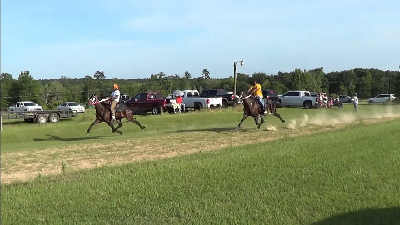 Standardbred Training Day at Race Track in Gum Springs Texas