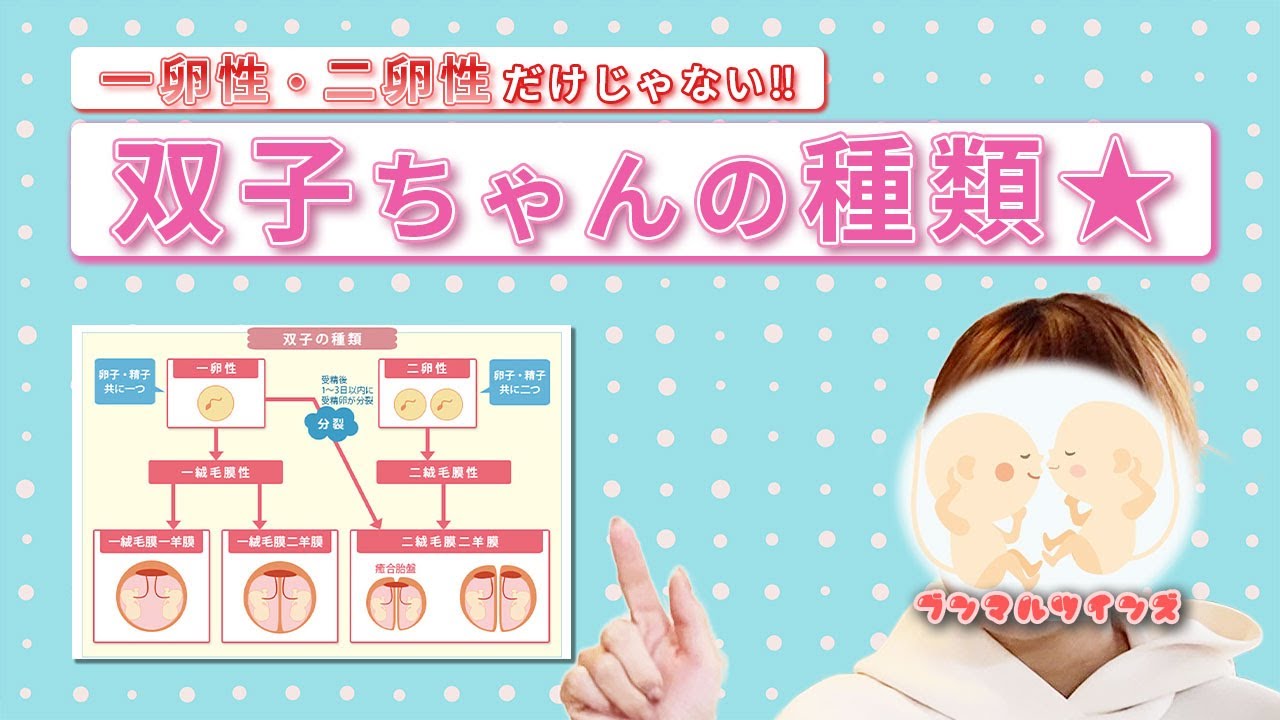 一卵性と二卵性だけじゃない⁉双子ちゃんの種類についてお話しします★